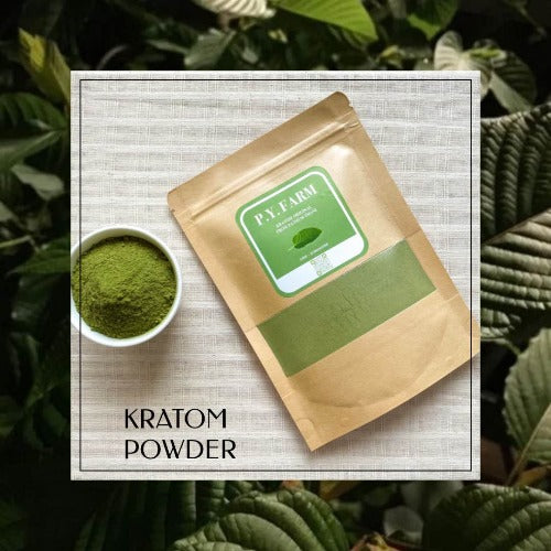 Kratom Powder - Mitragyna Speciosa from Thailand